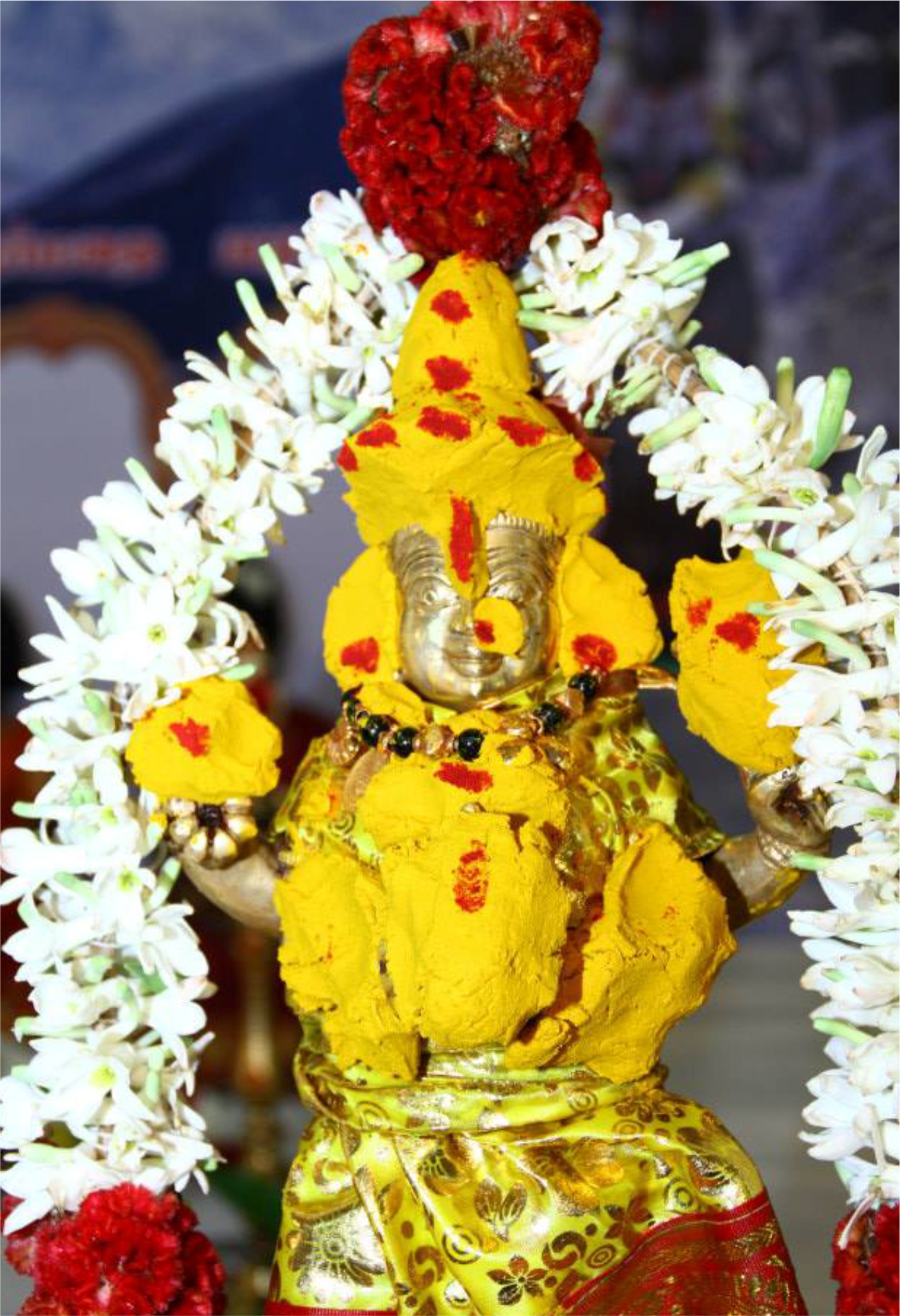 Cauvery River Ratha Yatra