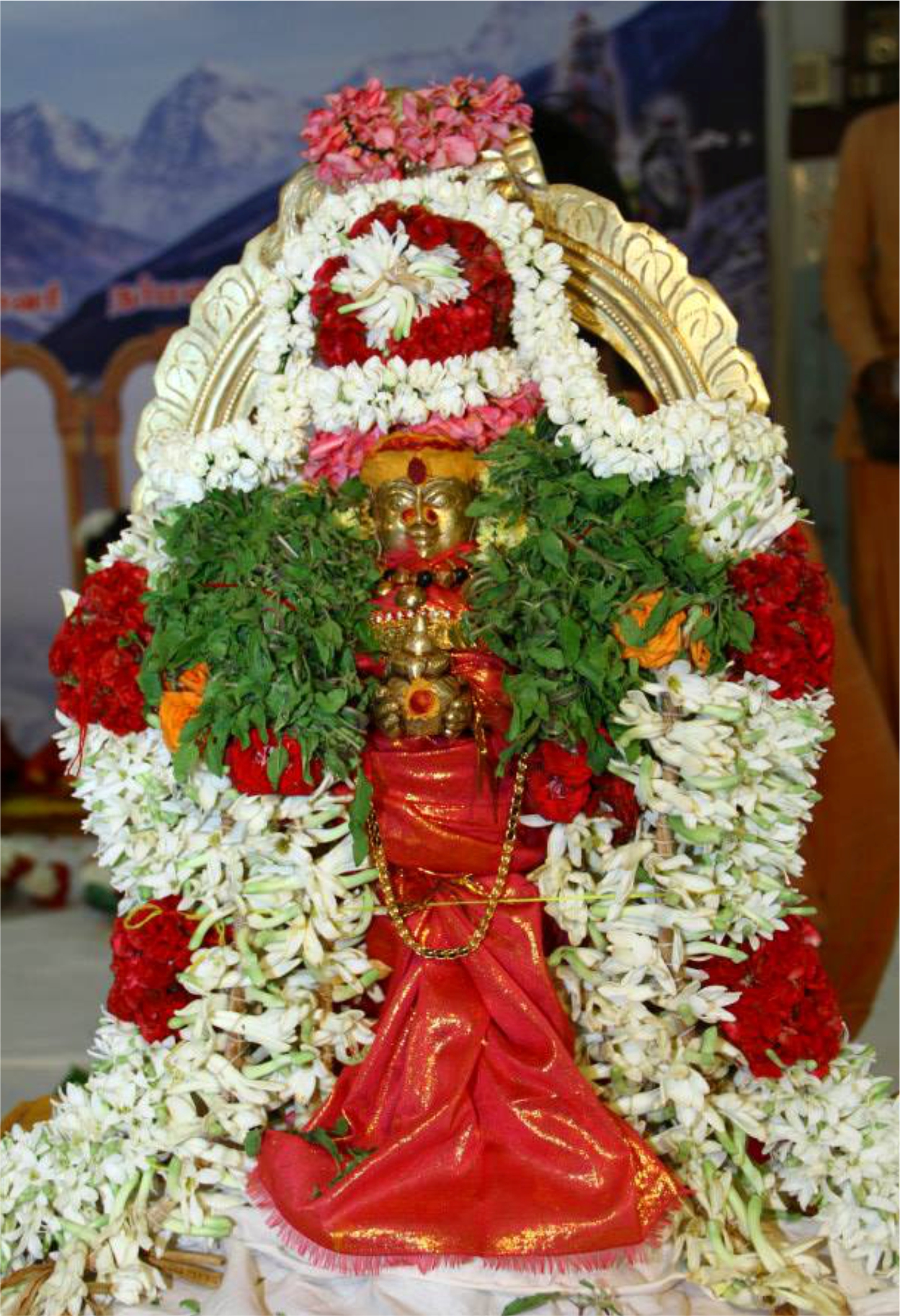 Cauvery River Ratha Yatra